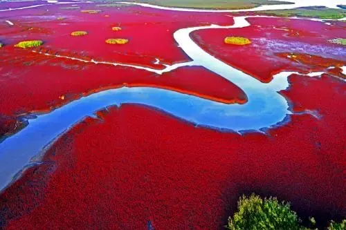 北旅田園·黑風關(guān)古鎮(zhèn)+紅海灘汽車兩日游