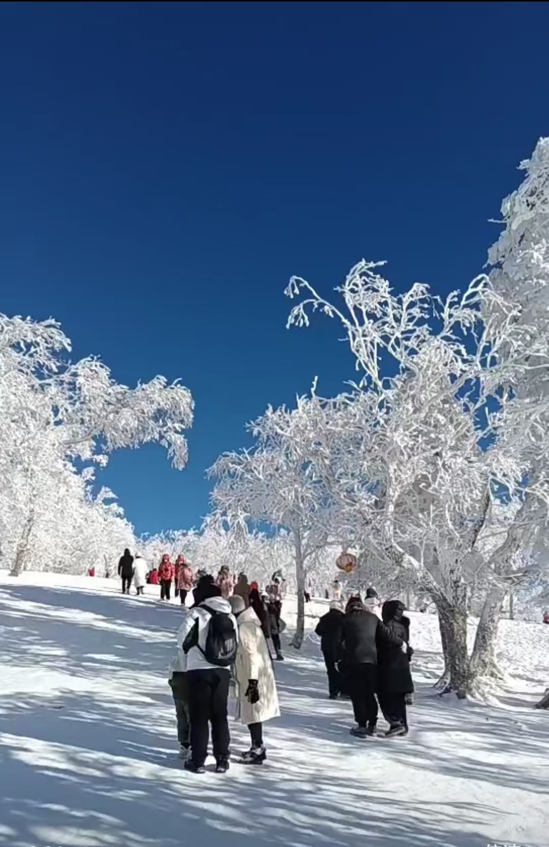 長白山汽車兩日游